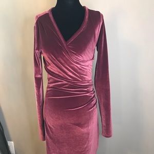 Aritzia Wilfred Free Velvet Dress